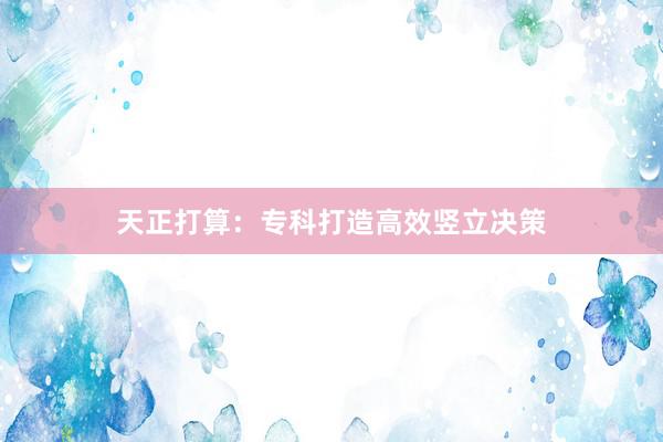 天正打算：专科打造高效竖立决策