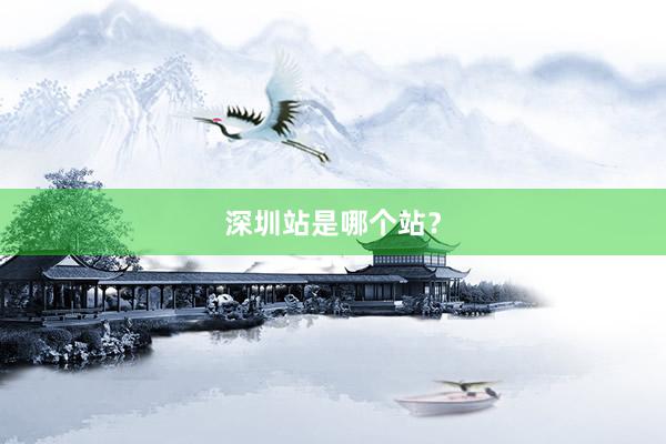 深圳站是哪个站？